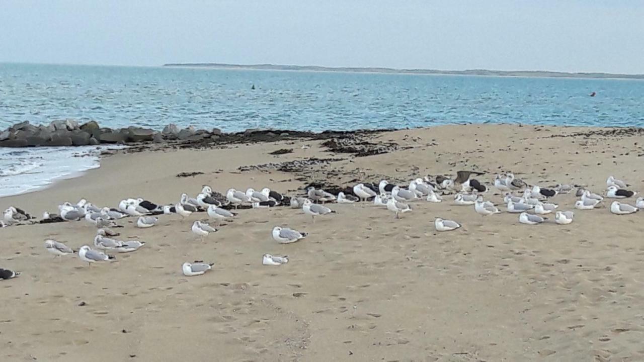 Ma Chaumiere La Cotinière Exterior foto
